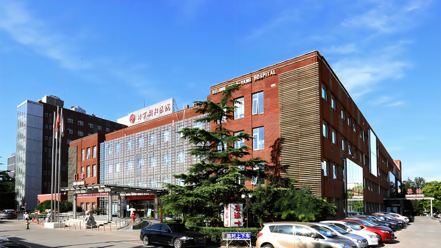 朝阳医院试管婴儿费用