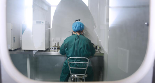 帮助精卵结合培育胚胎