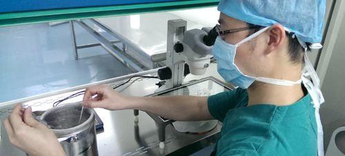 冷冻胚胎移植时间