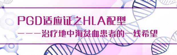 地中海贫血治疗新方式