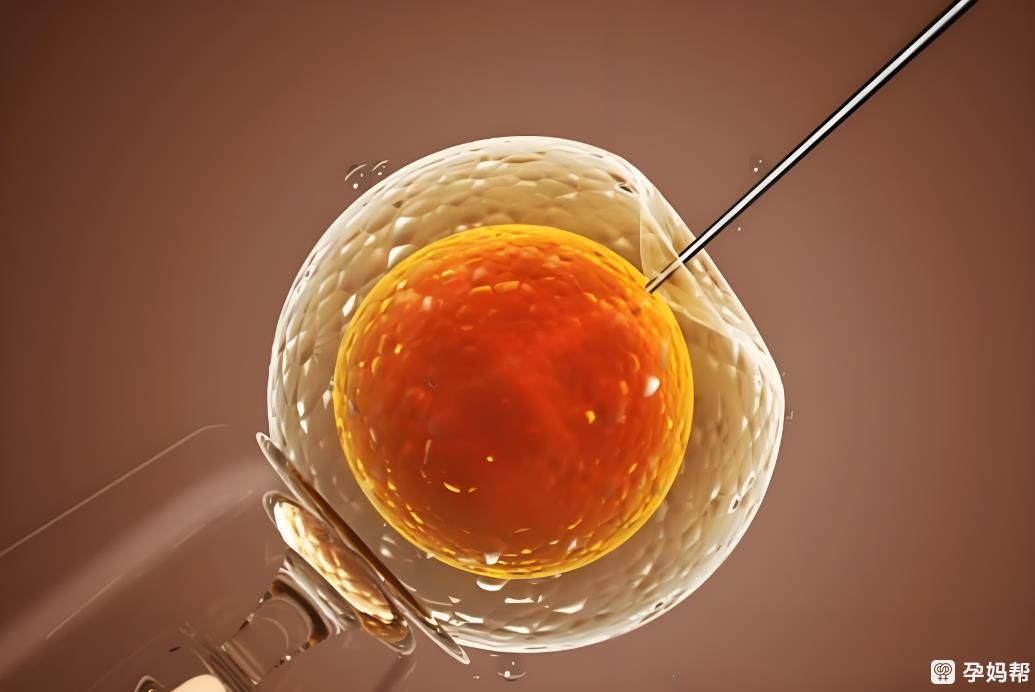 国内正规医院捐L试管全流程