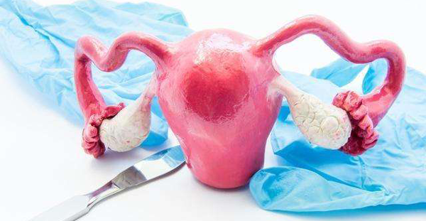 残角子宫能做试管婴儿吗