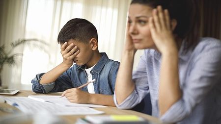 试管囊胚移植成功率多少 医生 主要由胚胎质量等级决定