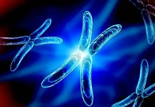 杭州邵逸夫医院做试管哪个医生好