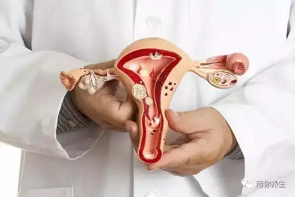 瑞安那里的医院可以做试管婴儿技术？