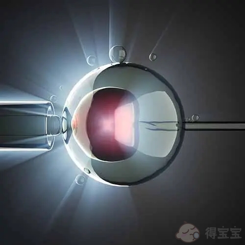 2022年深圳试管婴儿大概多少费用？附全流程花费明细