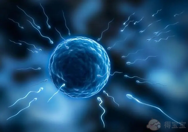 成都西囡医院试管成功率高吗?一次试管成功几率多少?