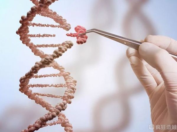 在长沙做第四代试管婴儿的全部费用大概是多少？