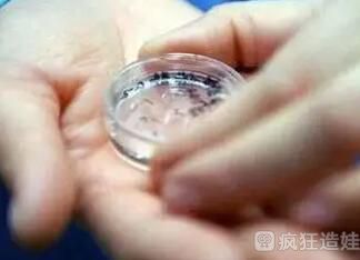 国内可以的试管婴儿医院排名？附详细成功率费用情况