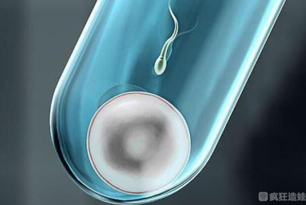 泉州做第四代试管婴儿价格是多少?附试管费用明细表?