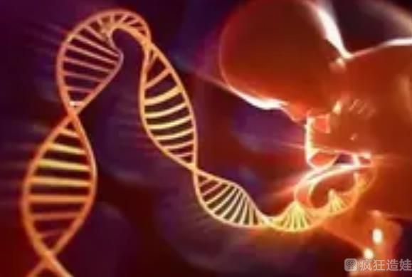 长沙中信湘雅医院做第二代试管婴儿费用多少钱？听说要20万是真的吗？