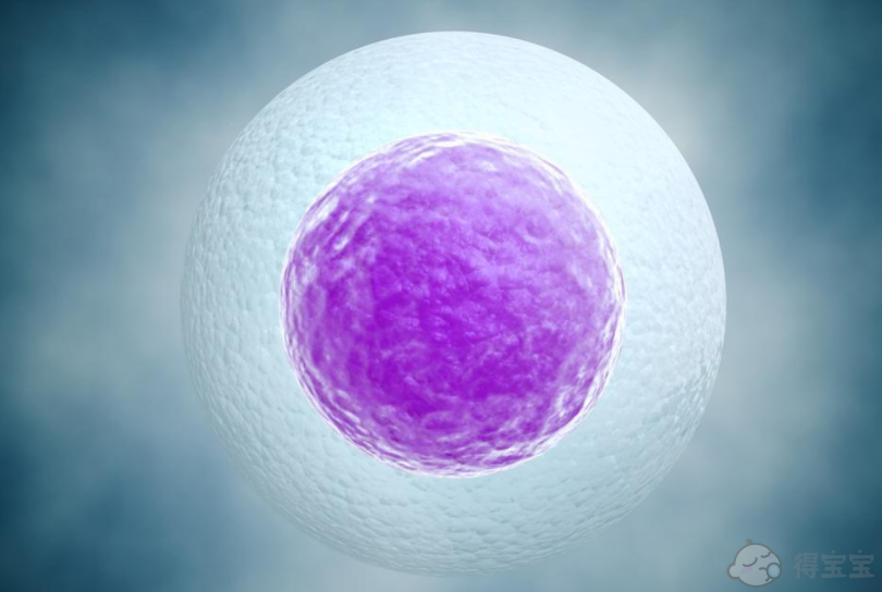 流产怀孕惯性流产如何保胎,能不能生孩子要及时治疗