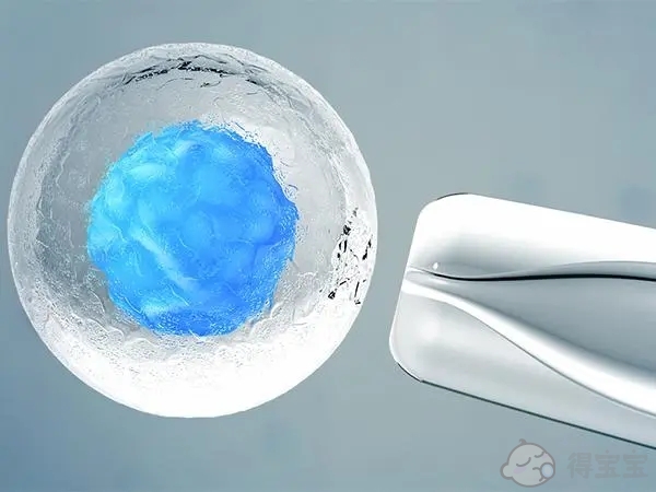 多发性子宫肌瘤能怀孕吗 有没有危险
