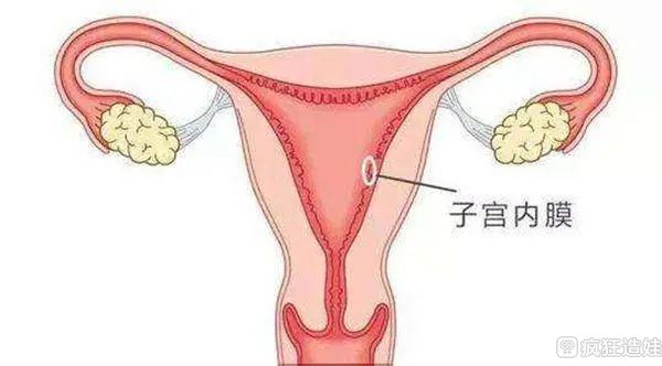 子宫内膜太厚能做第四代试管婴儿吗