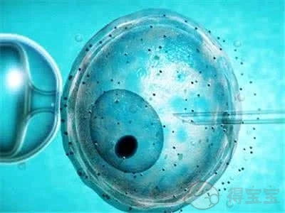 襄阳中心医院试管婴儿多少钱?2022试管费用明细