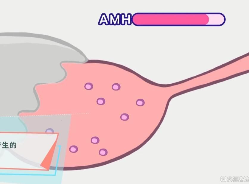 amh值多少不能做第二代试管婴儿？amh值对试管婴儿的影响有哪些？