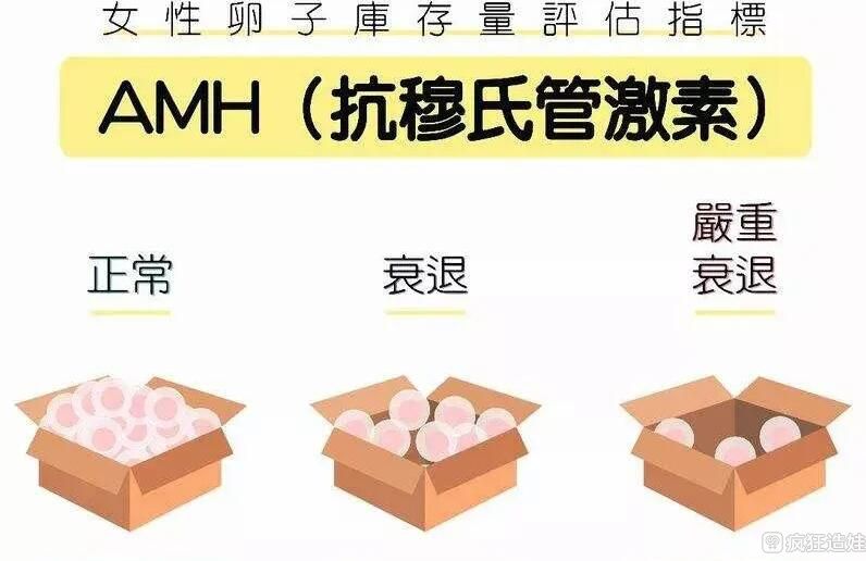 amh值多少不能做第二代试管婴儿？amh值对试管婴儿的影响有哪些？