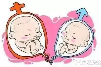 国内可以的试管婴儿医院排名？附详细成功率费用情况